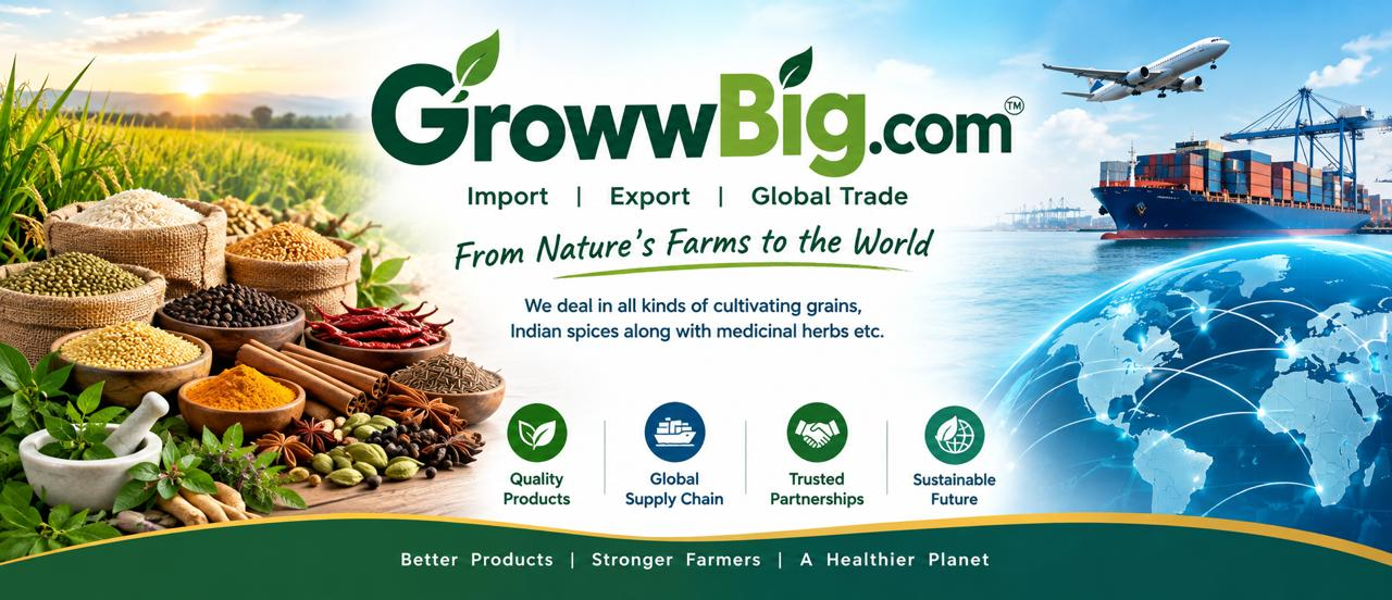 GrowwBig promo
