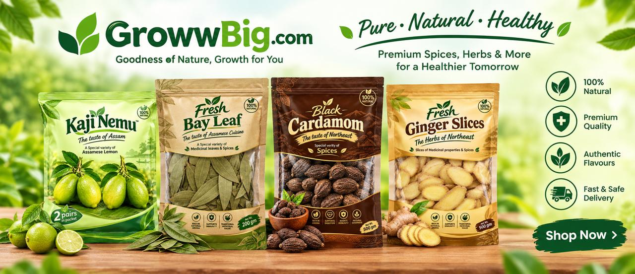 GrowwBig promo